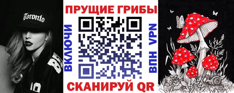 Псилоцибиновые грибы Magic Shrooms купить наркоту Шарья